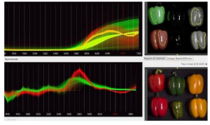 高光譜相機(jī)檢測果蔬的方法